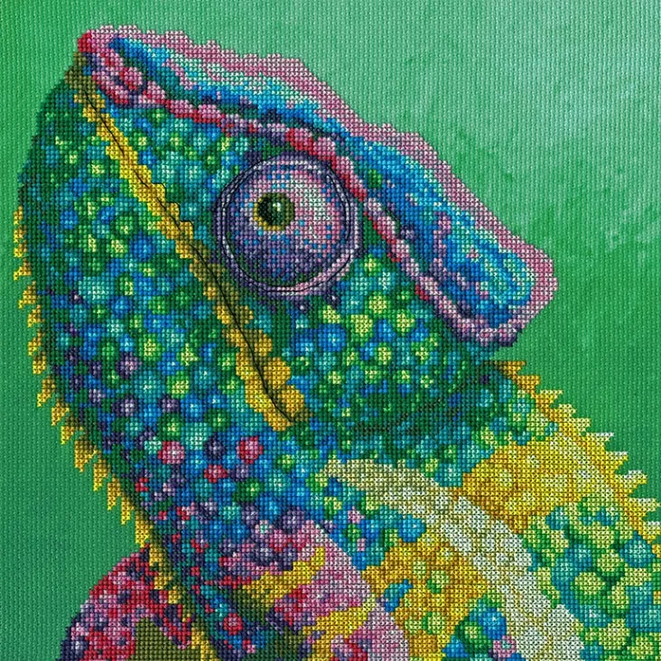 Bothy The Menagerie: Illusion