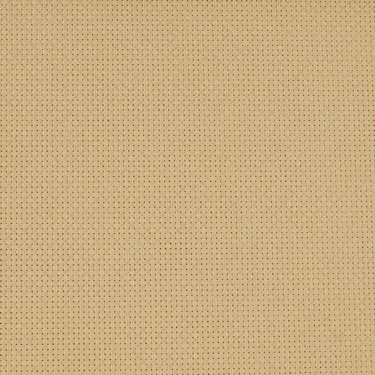 DMC 14 Count Aida – 3033