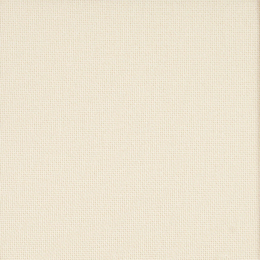 DMC 25 Count Evenweave – ECRU