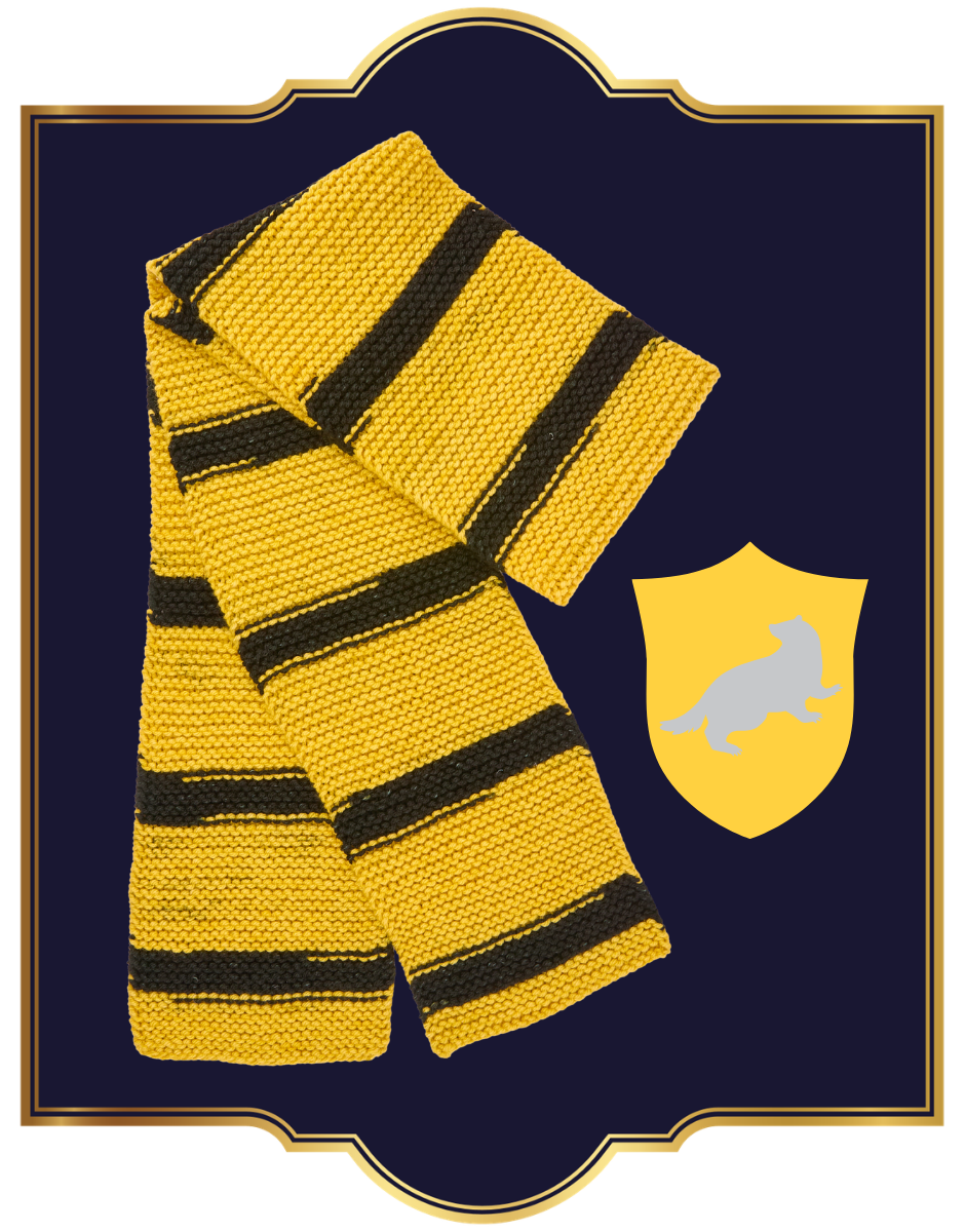 Harry Potter House Colour Scarf